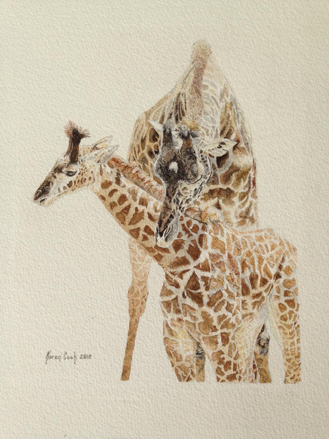 Giraffes painting by Karen