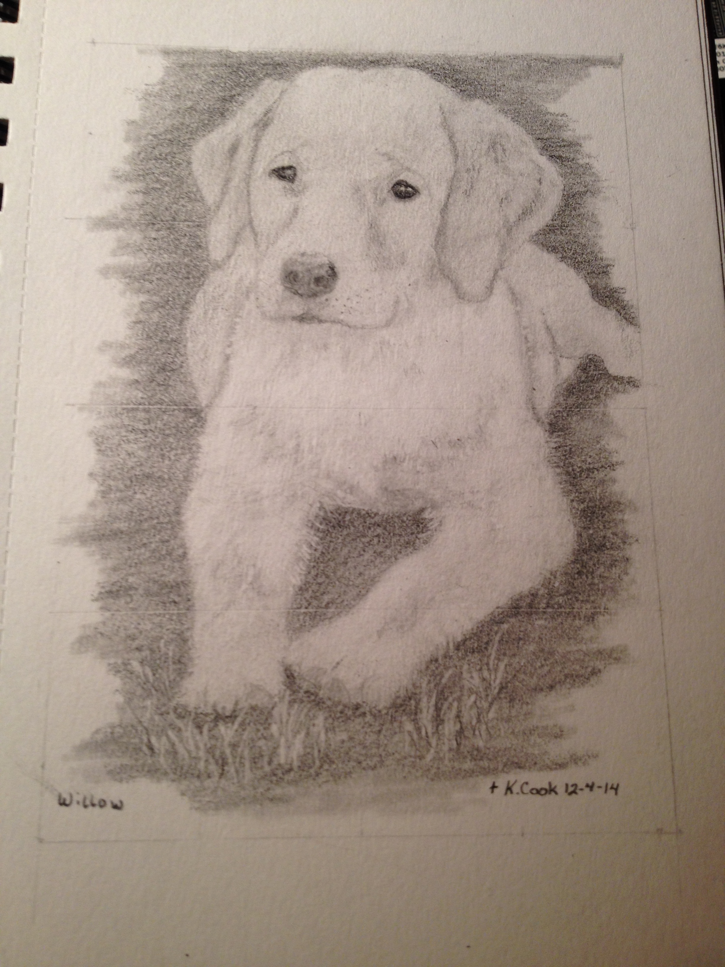 Karen's drawing of Willow