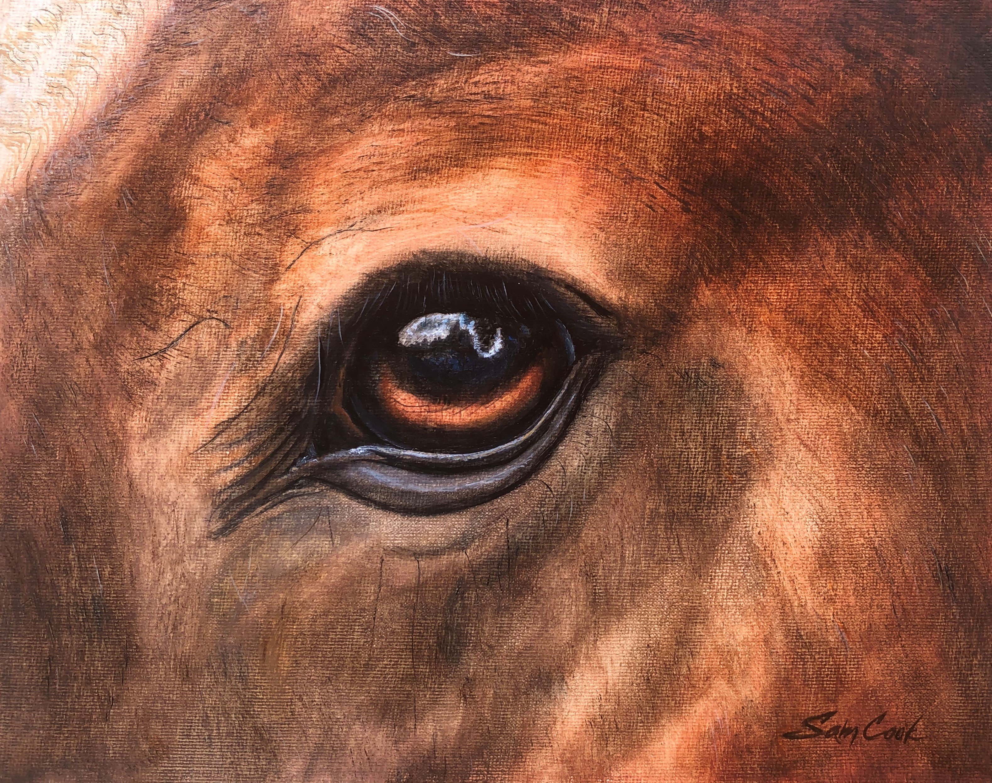 Heres Looking at You