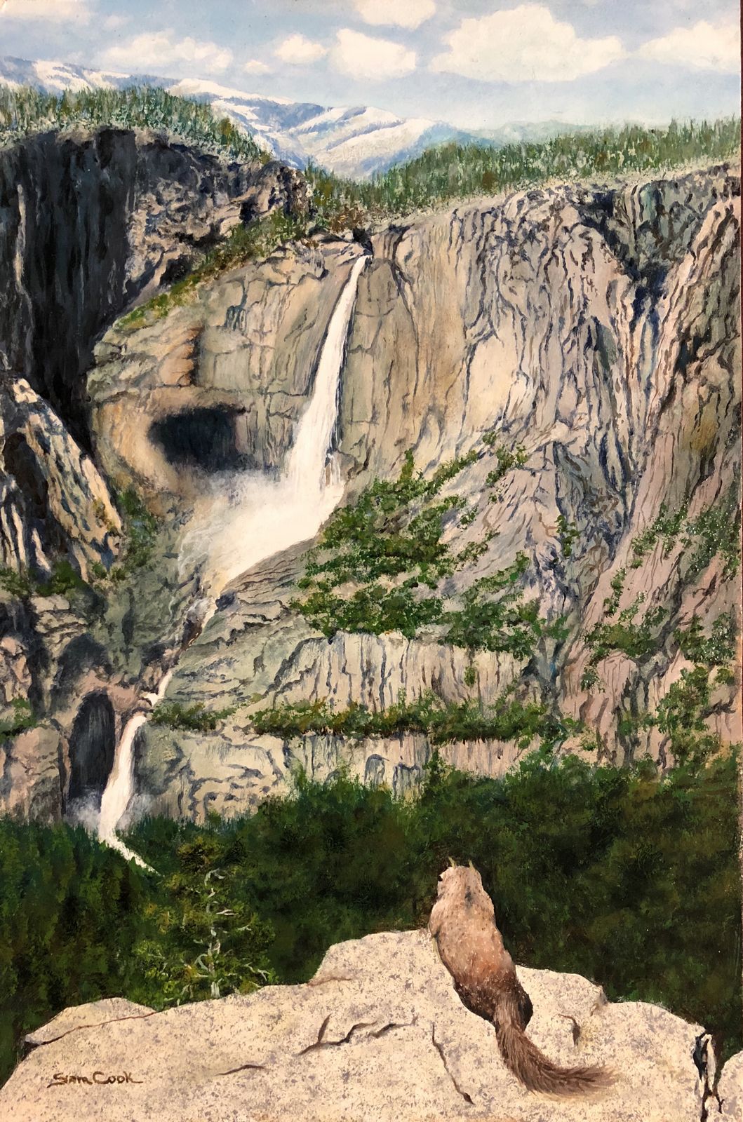 Yosemite Falls Marmot