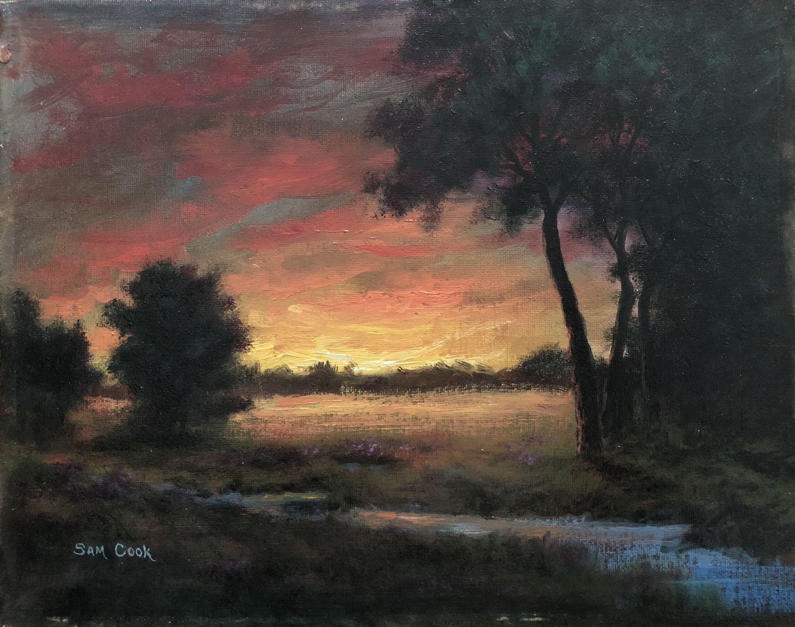 Yosemite Meadow Sunset