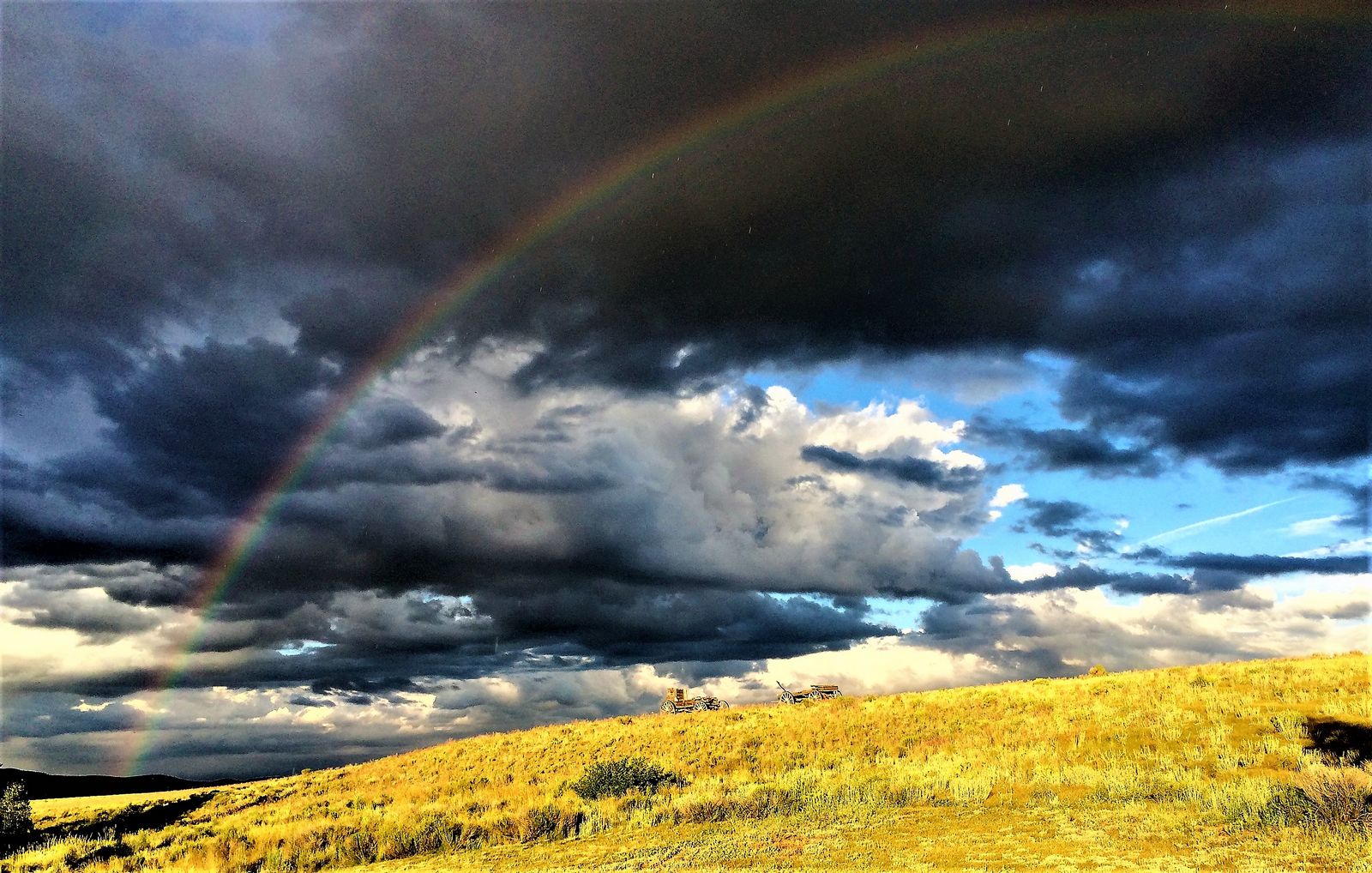 Landscape after the rain on the Quarter Circle Circle ranch