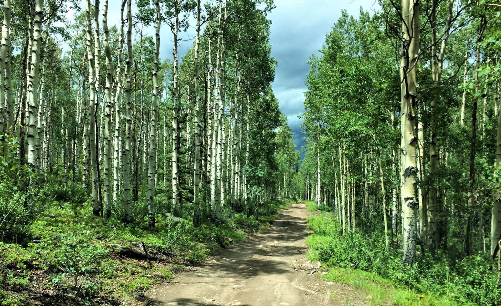 Going fishing on the Quarter Circle Circle ranch
