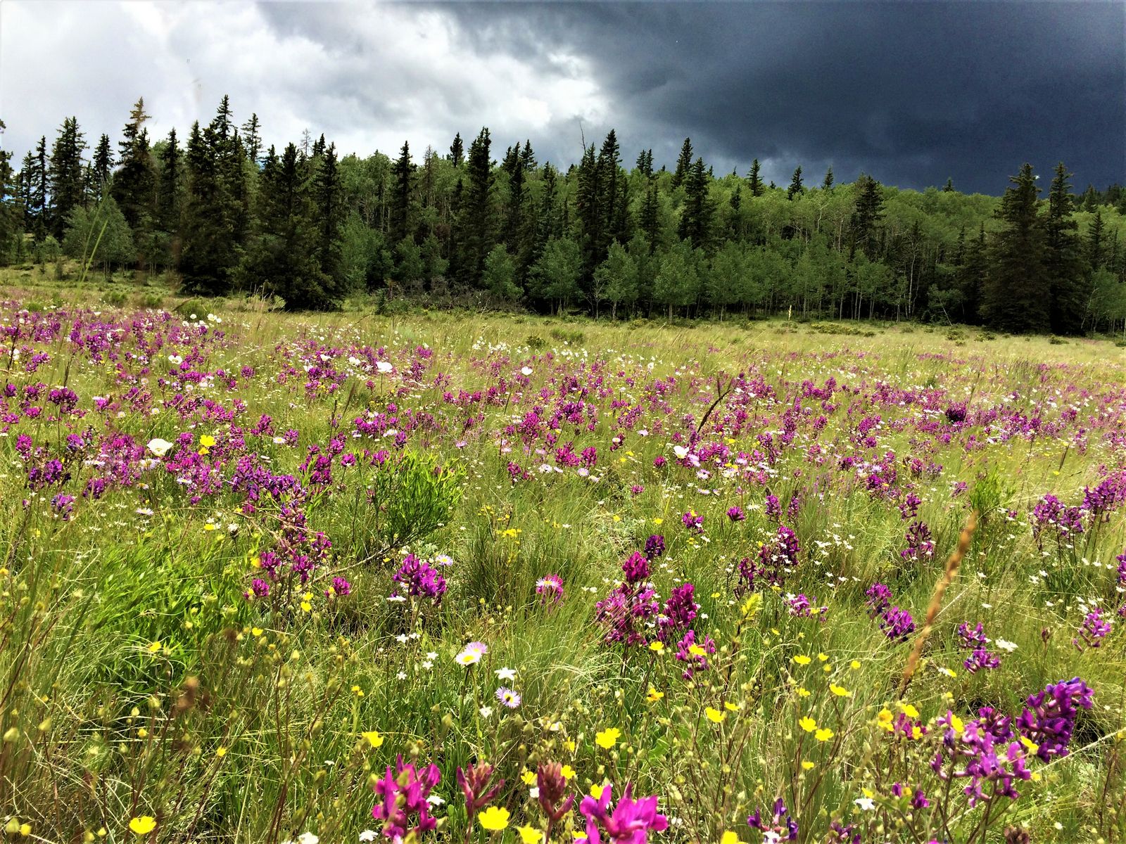 Another view of going fishing on the Quarter Circle Circle ranch